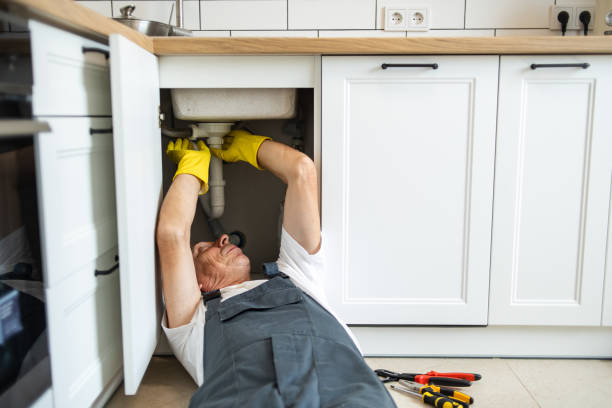 Best Residential Plumbing Services  in Tavares, FL