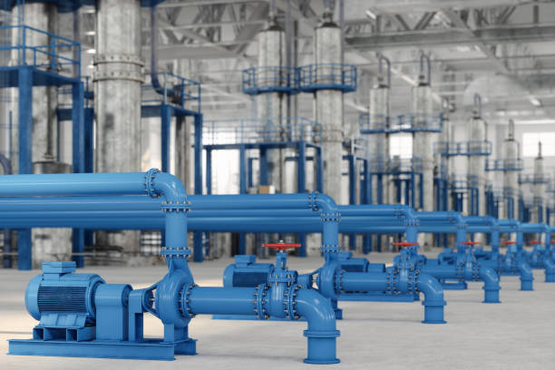 Best Local Plumber Services  in Tavares, FL